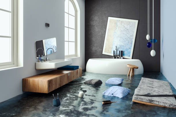 Best Flood restoration services  in Speedway, IN