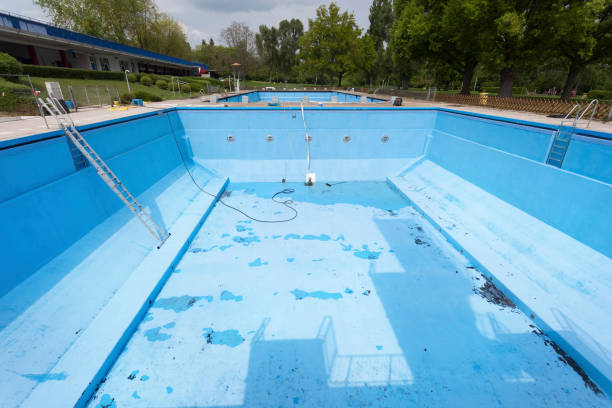 Best Water damage contractors near me  in Speedway, IN