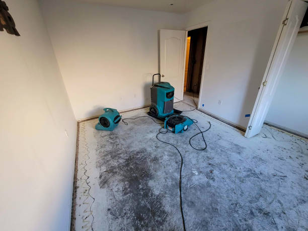 Best Water damage restoration near me  in Speedway, IN