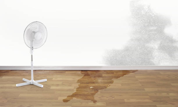 Best Water damage restoration experts  in Speedway, IN