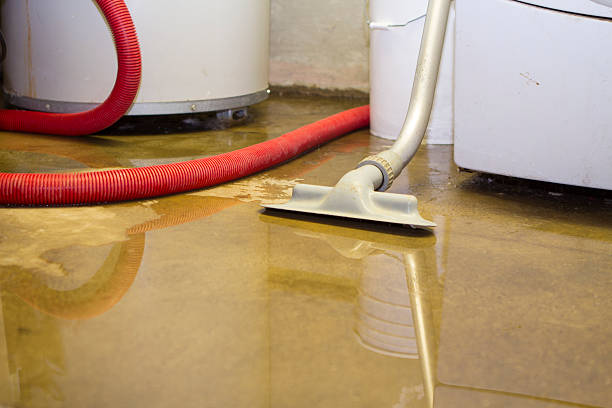 Best Sewage cleanup and water damage restoration  in Speedway, IN