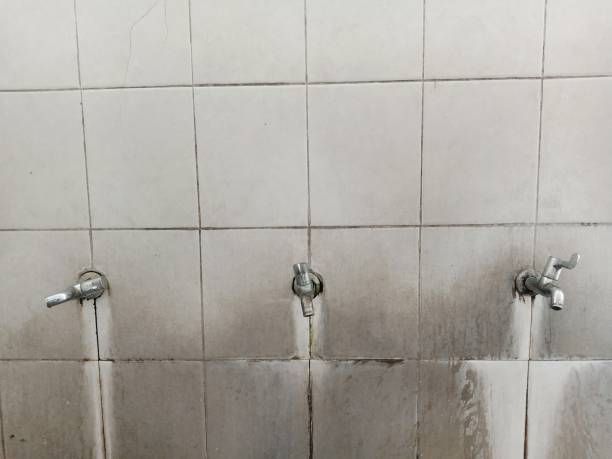 Best Residential water damage restoration  in Speedway, IN