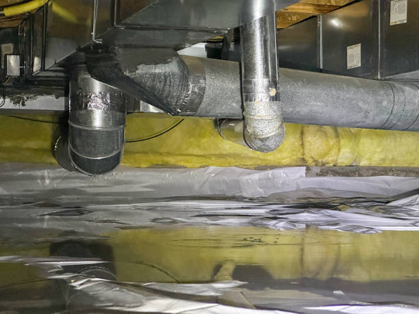 Trusted Speedway, IN Water damage restoration Experts
