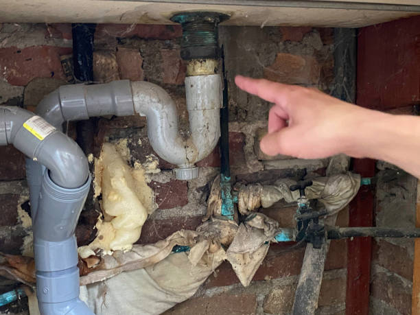 Best Flooded house restoration  in Speedway, IN