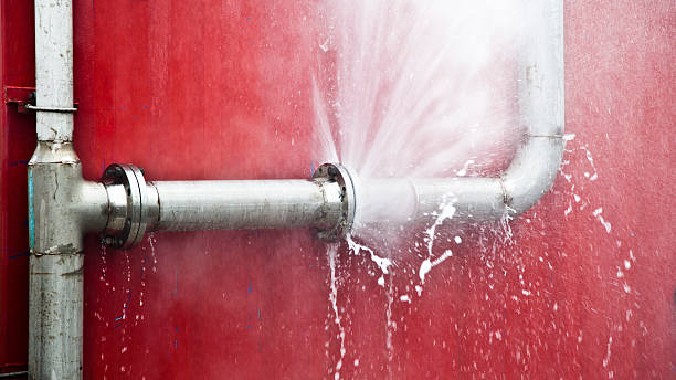 Best Ceiling water damage repair  in Speedway, IN